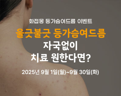 뉴스룸