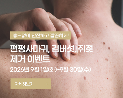 뉴스룸
