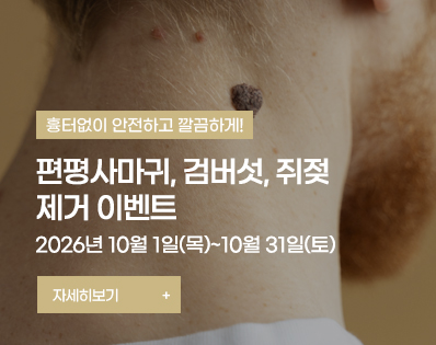 뉴스룸