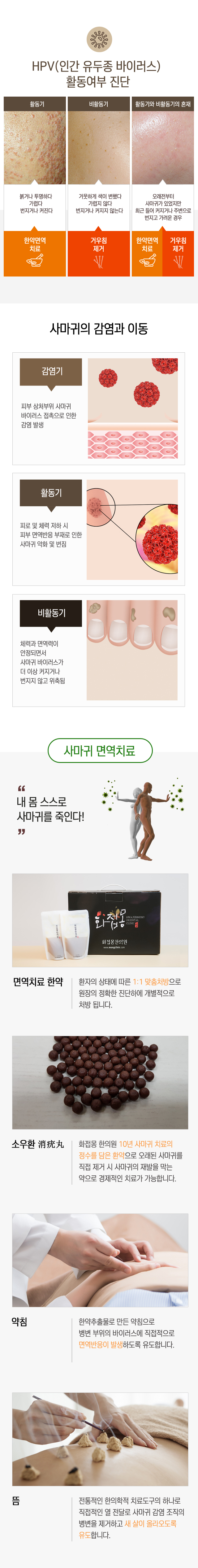 사마귀